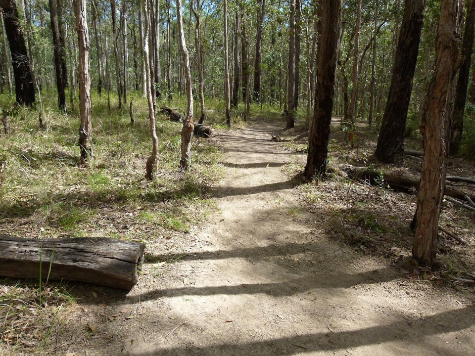 P1140006.jpg